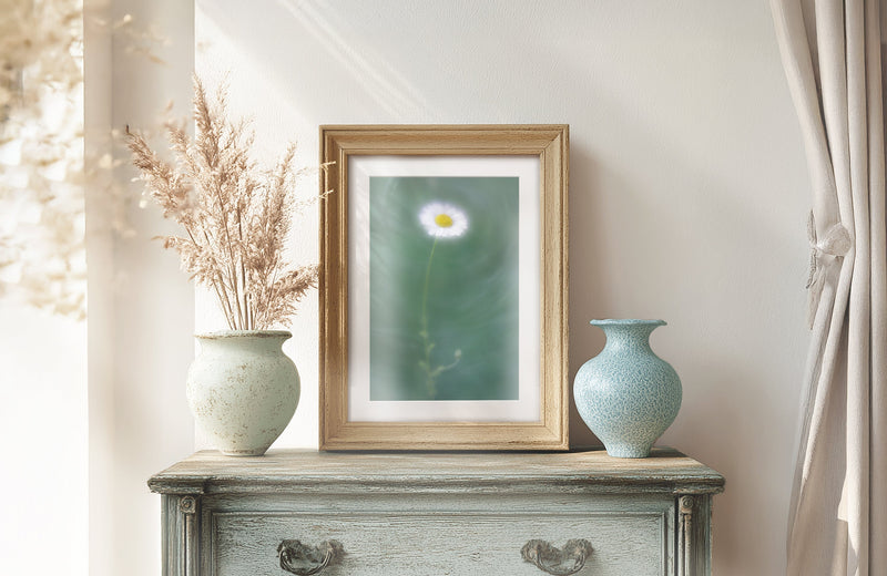 Daisy Flower print framed in country cottage modern farmhouse style interior. abstract wall art nature inspired floral botanical interior design