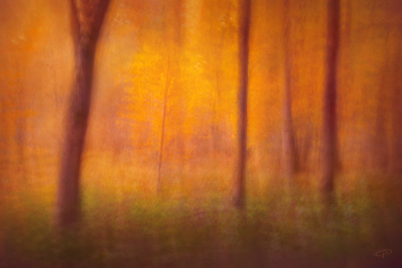 Abstract Landscape Photography