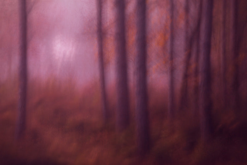 Landscape Country Colour Purple Wall Art Print