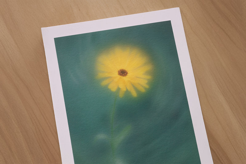 Botanical Wall Art Field Marigold