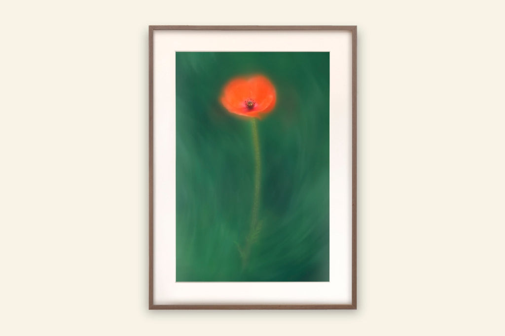 PoppyWall Art Interior Farmhouse Country Cottage Red