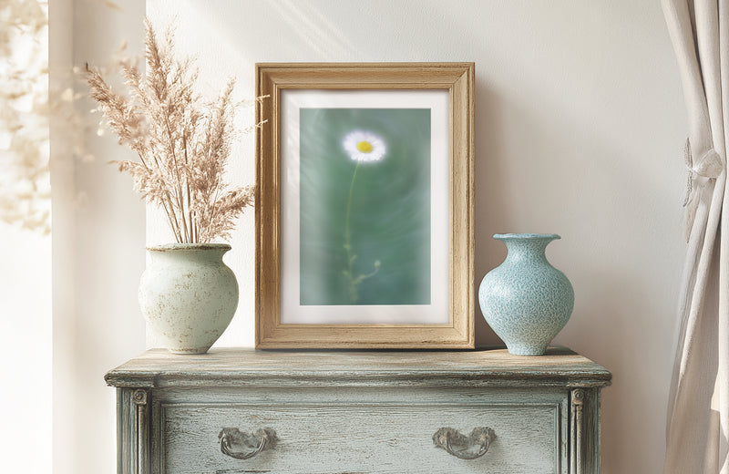 Daisy Flower Rustic Country Cottage Interior