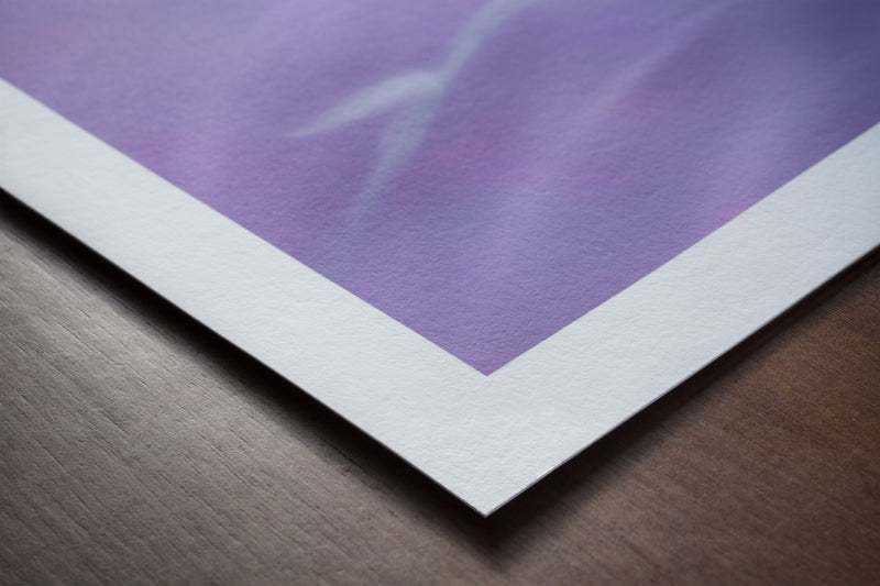 Orchid art print detail textured cotton paper