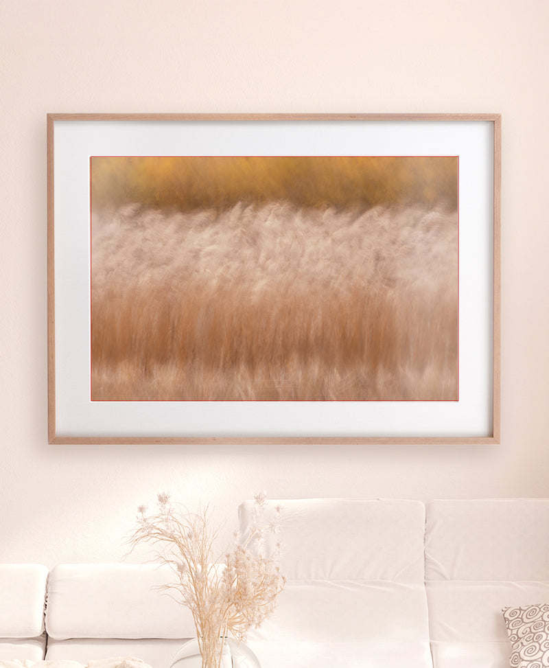 Nature Inspired Prints for Modern Interior Designs - Picture Etherea