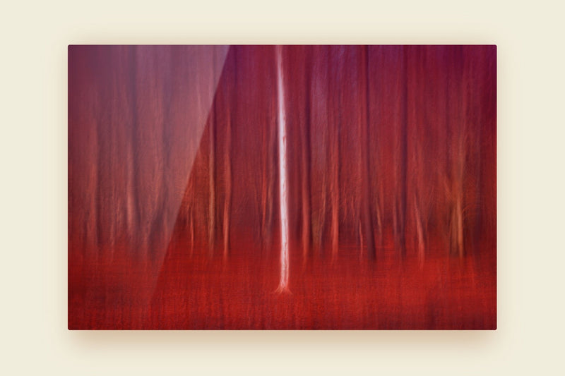 Metal Art Aluminium Print Red Nature Inspired Art