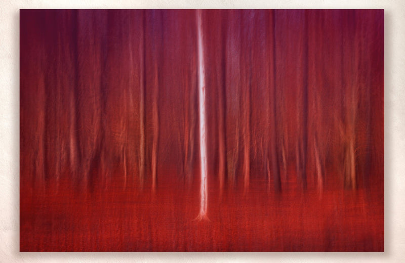 Chromalux metal Art Print Red Landscape Art 