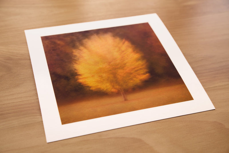 Luxury Art print nature Landscape Tree Print