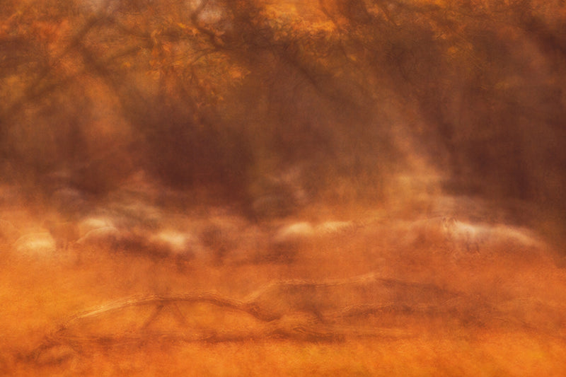 Autumnal Pastoral - Golden Art for Cosy Interiors - Picture Etherea