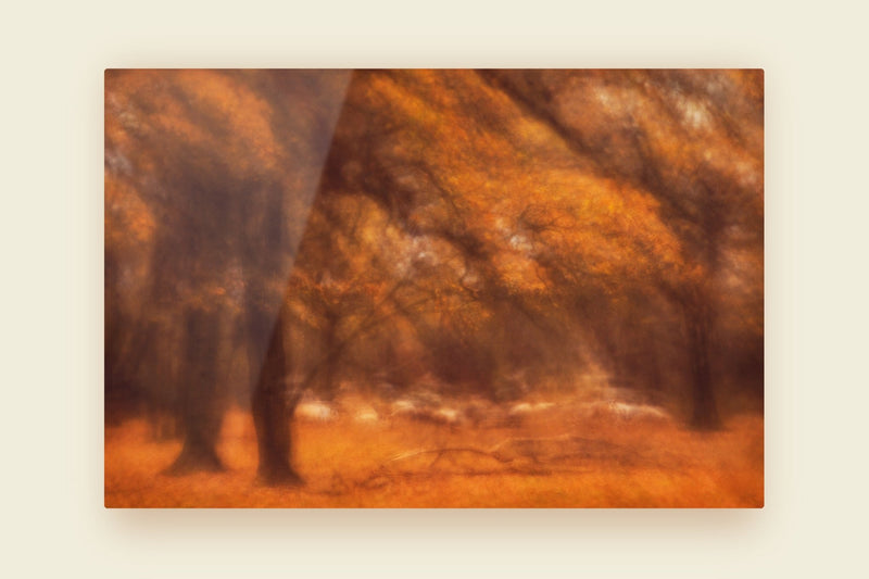 Autumnal Pastoral - Golden Art for Cosy Interiors - Picture Etherea