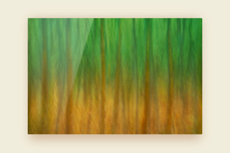 Oversized Metal Panel Print Wall Art Green Yellow Wood Trees