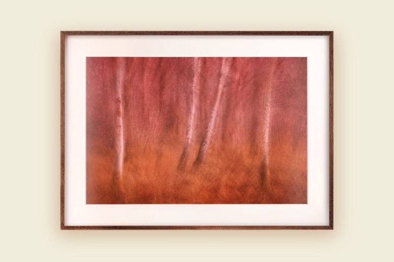 Orange Ochre Autumn Fall Wall Art