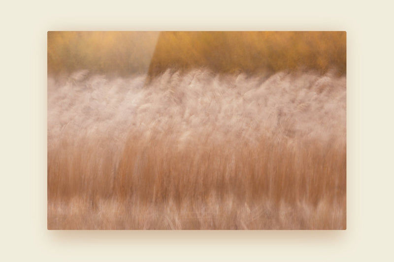 Aluminium Panel Print Contemporary Art Nature Inspired