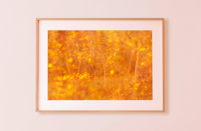 Frmed Contemporary Art print Yellow