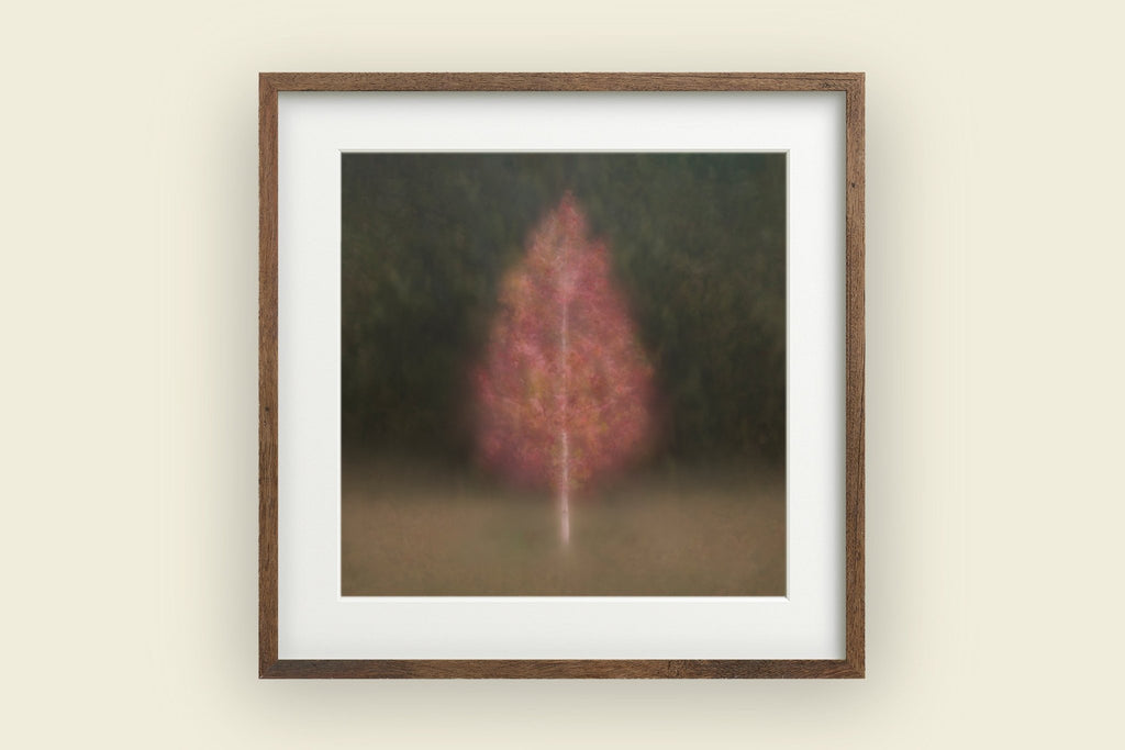 Fine Art Tree Print for Home Interiors - Picture Etherea