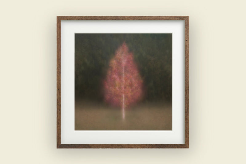 Fine Art Tree Print for Home Interiors - Picture Etherea