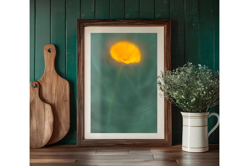 Meadow Flower print Californian Poppy Yellow Wall Art
