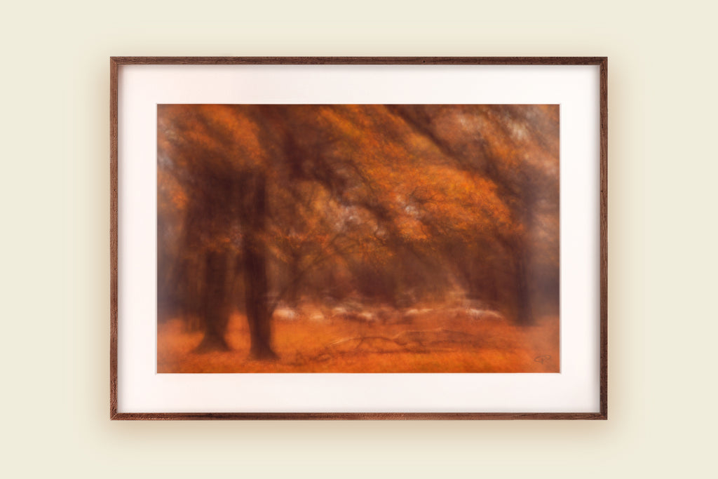 Framed print autumn trees and sheep grazing