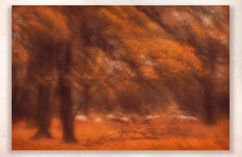 Sheep grazing in Autumnal scene