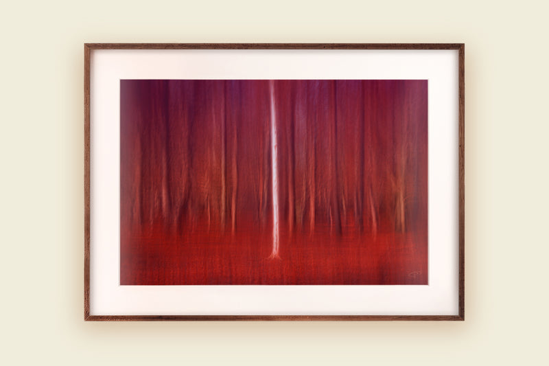 Abstract landscape art framed on wall red purple silver birch