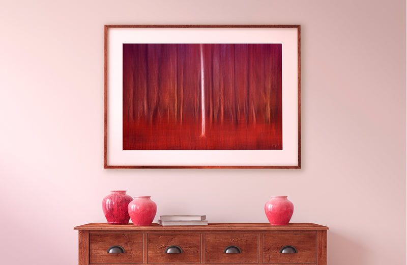 Silver birch abstract art framed red frame