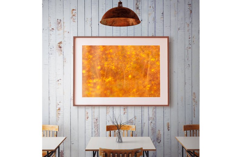 Framed glossy print hanging in cafe setting