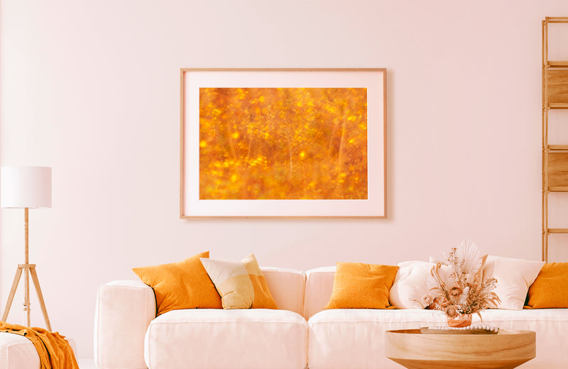 Framed paper print in bright interior