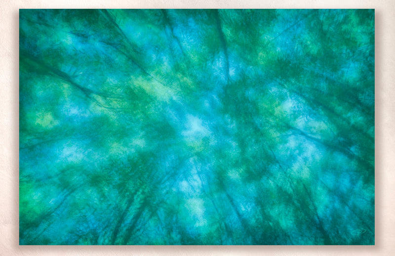 Metal print Abstract landscape trees canopy