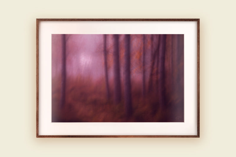 Framed print Last Light