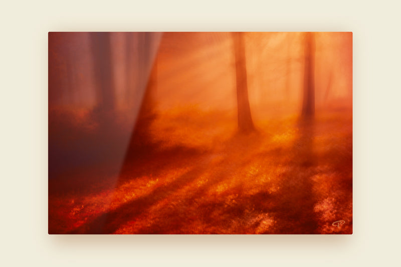 print showing evening light filtering through trees