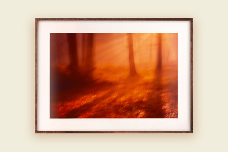 Abstract landscape photography of golden evening light