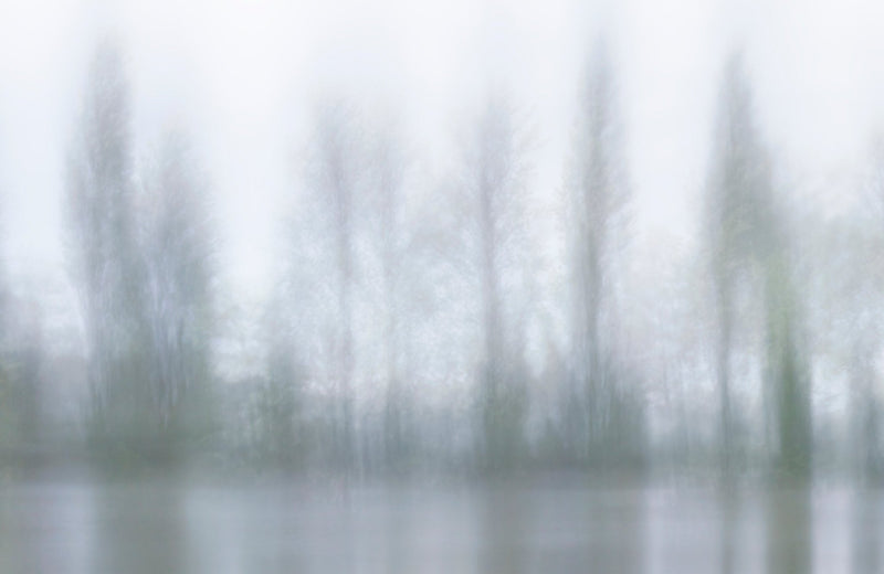 Tree Art Misty Calming Scene