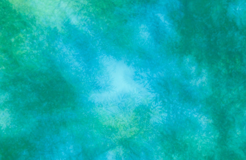 Tree Art Abstract Leaves Branches Summer Green Blue Sky