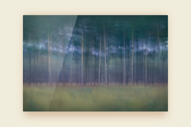 abstract tree landscape photo art