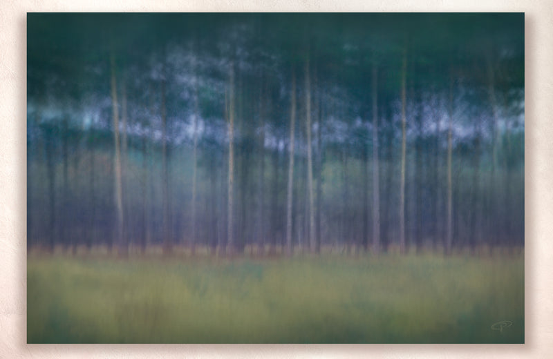 soft blue green grass and tree landscape image