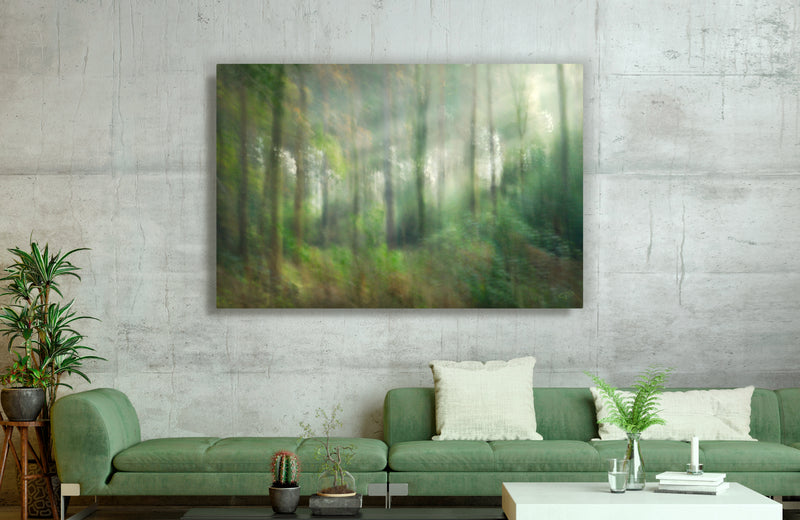 aluminium panel print abstract nature art