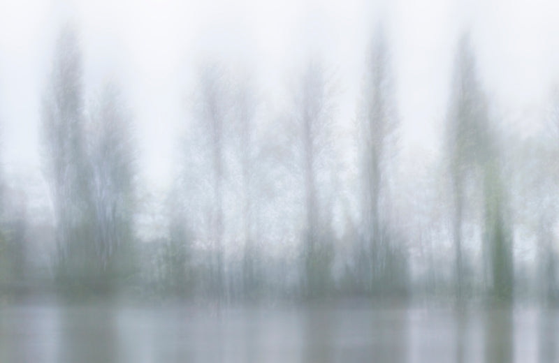 close up details of trees soft abstract dreamy