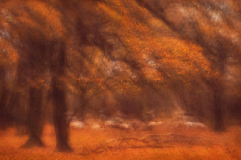 Autumnal trees and sheep grazing abstract art